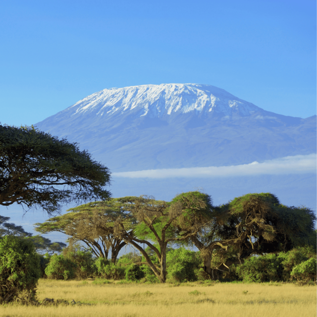 12-Kilimanjaro