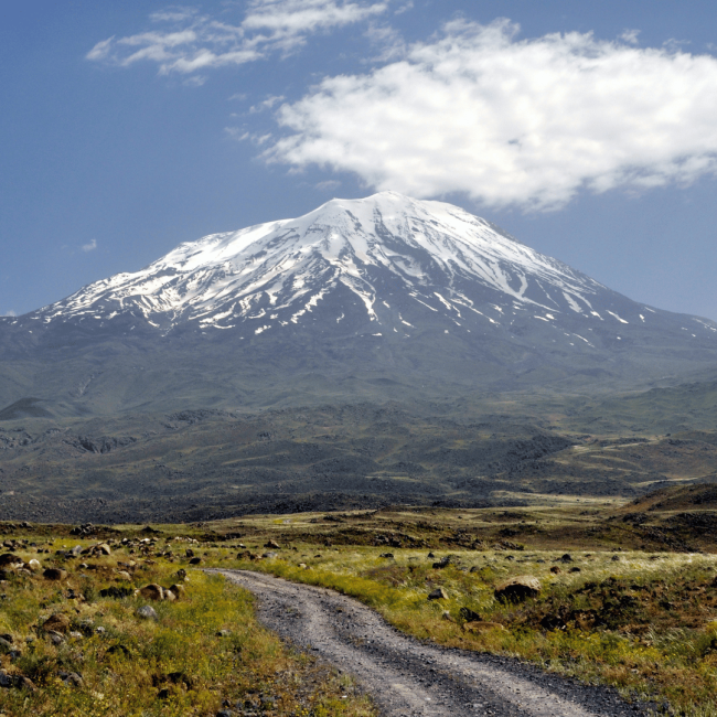 9-Ararat